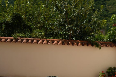 IMG-20240320-WA0032